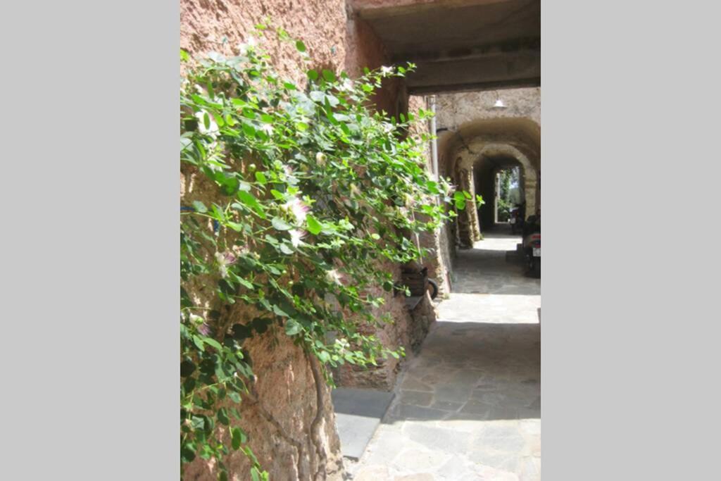 La Casa Di Sandra A Noli Villa Ngoại thất bức ảnh